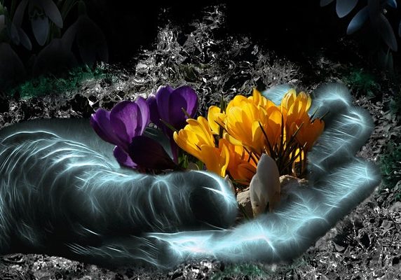 CEC Virtual Retreat